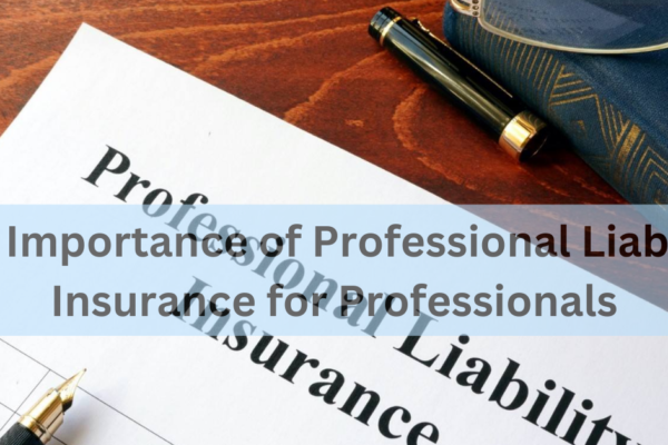 The Importance of Professional Liability Insurance for Professionals