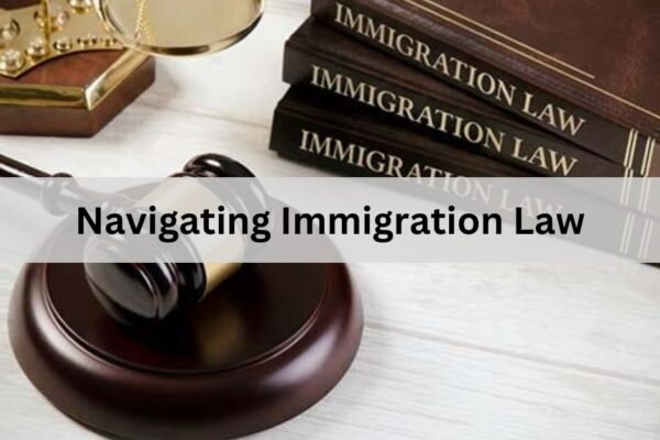 Navigating Immigration Law