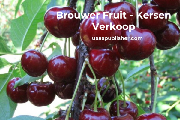 Brouwer Fruit - Kersen Verkoop