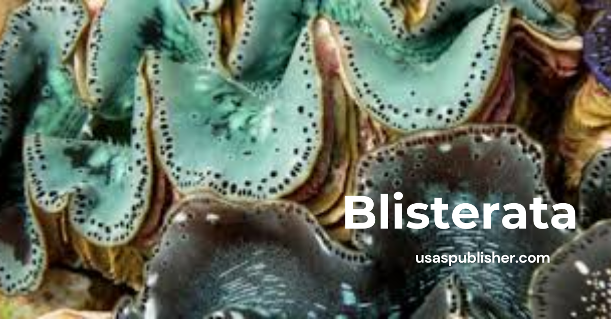 Blisterata