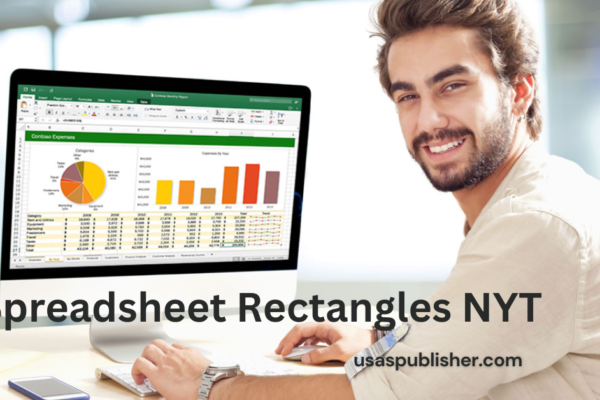 Spreadsheet Rectangles NYT